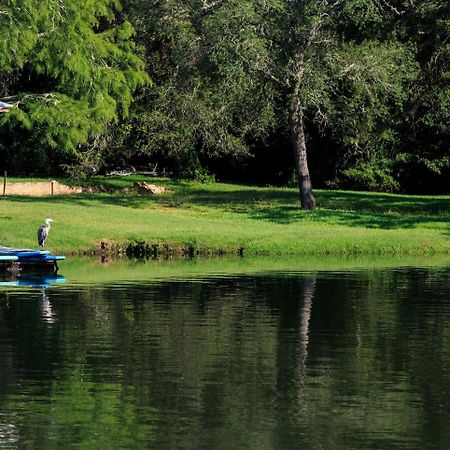 Magnolia Springs Bed And Breakfast Экстерьер фото